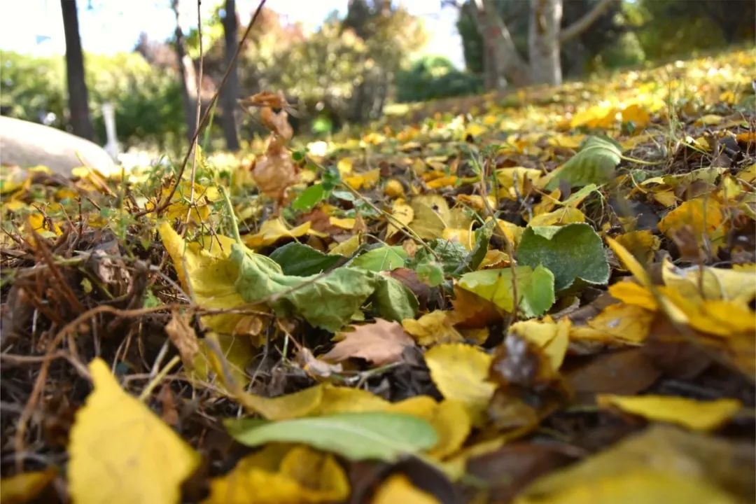 image013.jpg