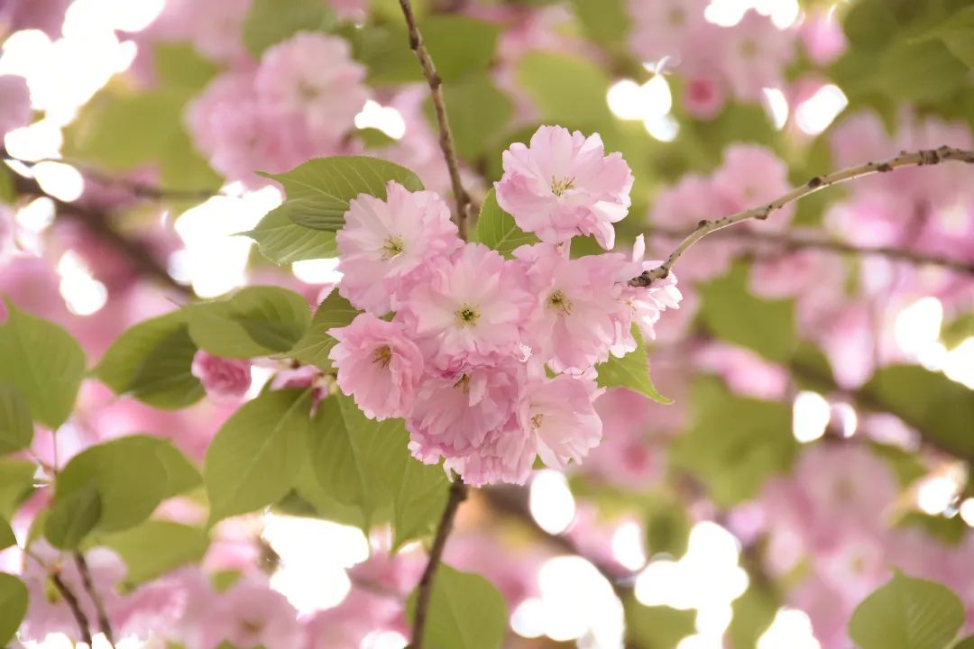 image010.jpg