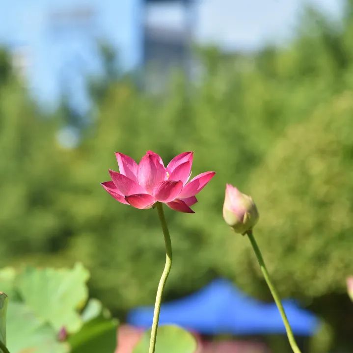 image015.jpg
