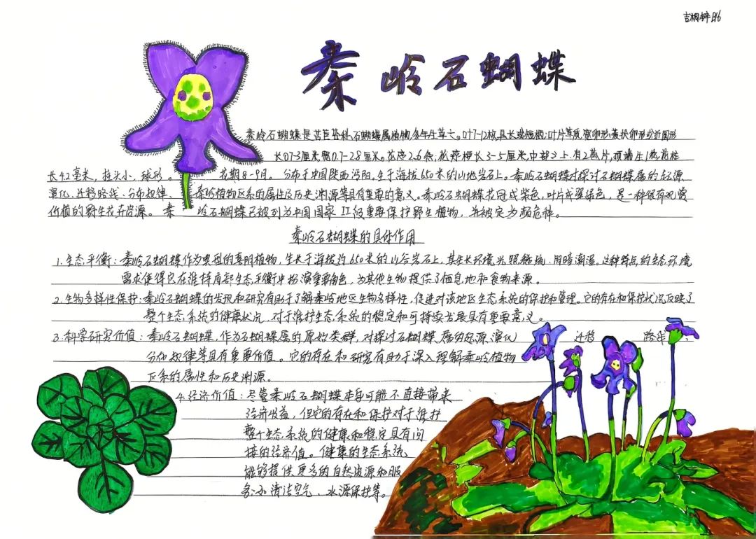 image003.jpg
