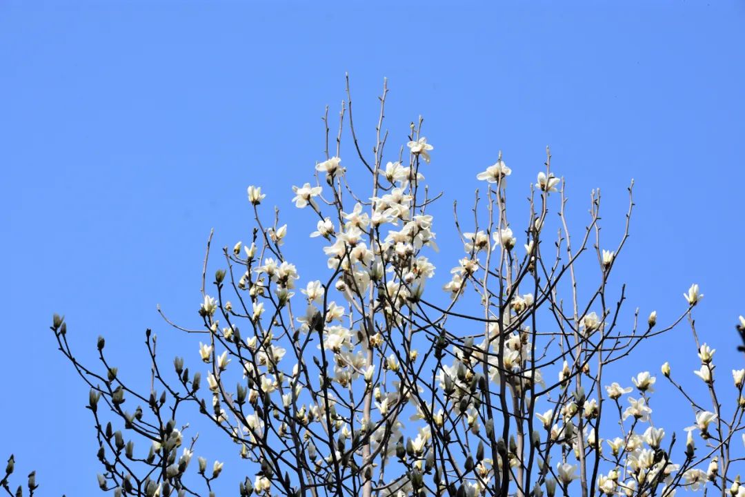 image036.jpg