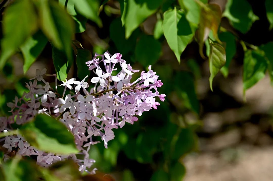 image017.jpg