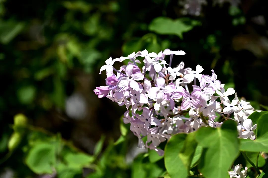 image016.jpg