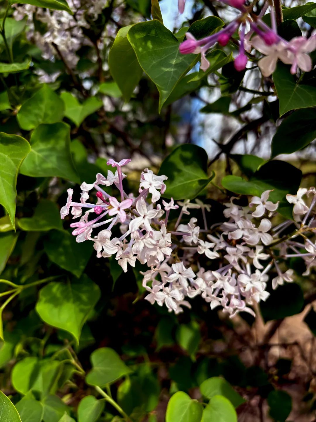 image024.jpg