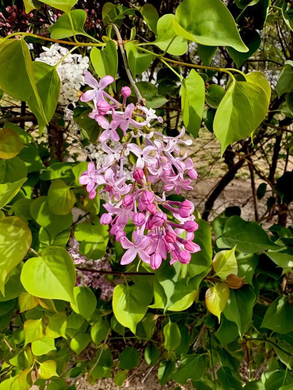 image031.jpg